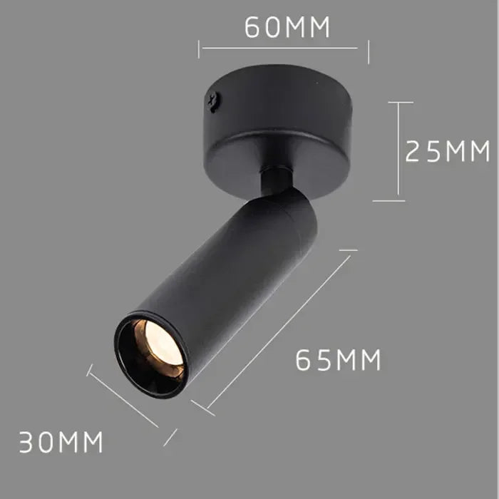 pin light